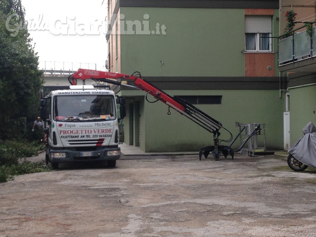 Progetto verde di Papa Michele 