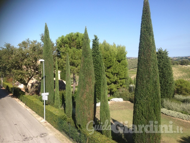 Progetto verde di Papa Michele