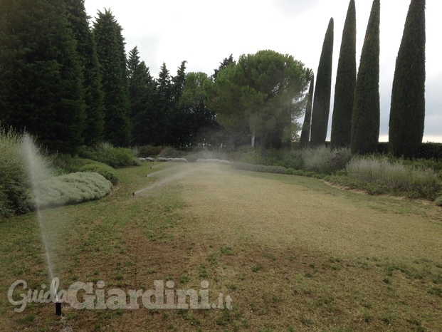 Progetto verde di Papa Michele