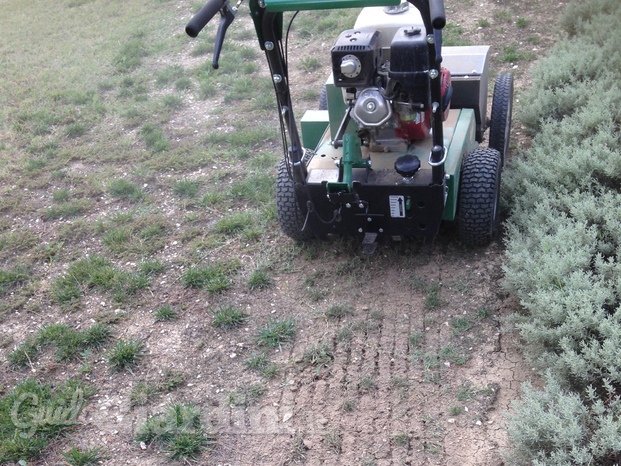 Progetto verde di Papa Michele