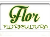 Floricultura Flor