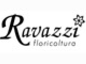 RAVAZZI FIORI