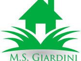 M.S Giardini