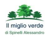 Il miglio verde di Spinelli Alessandro