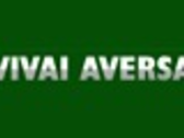 VIVAI AVERSA