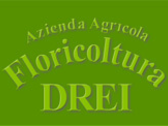 Azienda Agricola Fluoricultura Drei