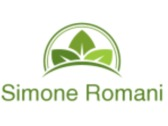 Simone Romani