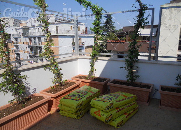 realizzazione del verde su di un terrazzo, completa di struttura portante ed impianto d'irrigazione