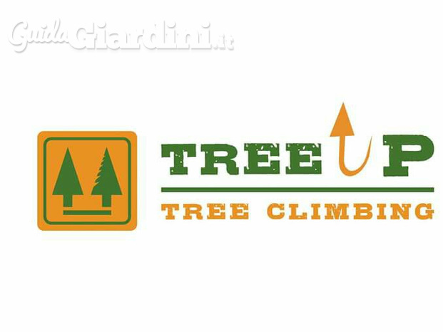 TreeUp Treeclimbing 