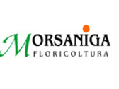 Floricoltura Morsaniga