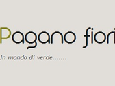 Pagano Fiori Srl