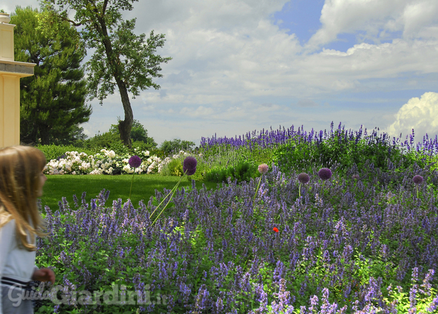 Fioritura di primavera