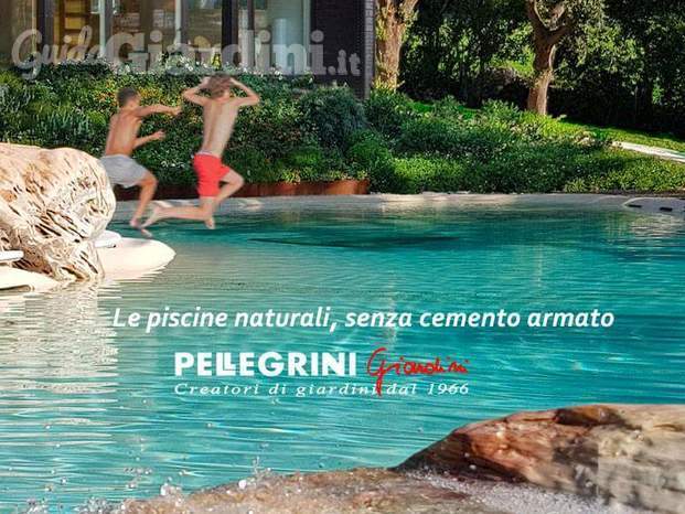 piscina naturale Biodesign Pellegrini Giardini-realizzazione