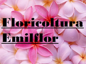 Floricoltura Emilflor