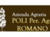 Az. Agr. Poli Romano