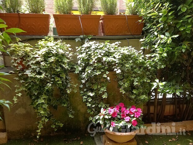 Giardino mezz' ombra