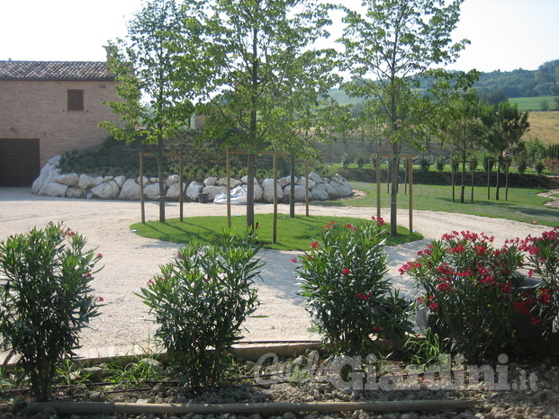 Scorcio di giardino privato