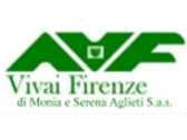 Avf