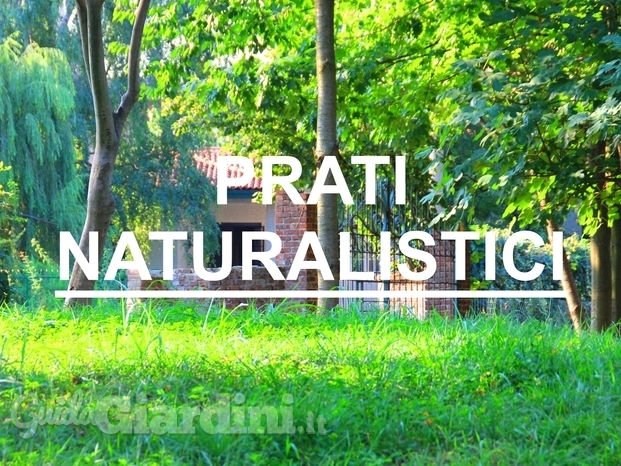 PRATI NATURALISTICI