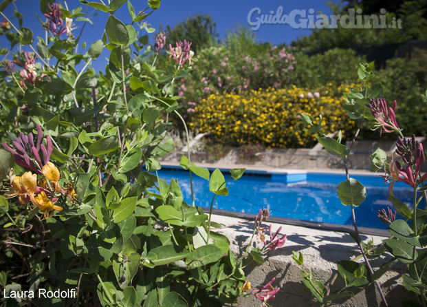 Giardino in provincia di Varese