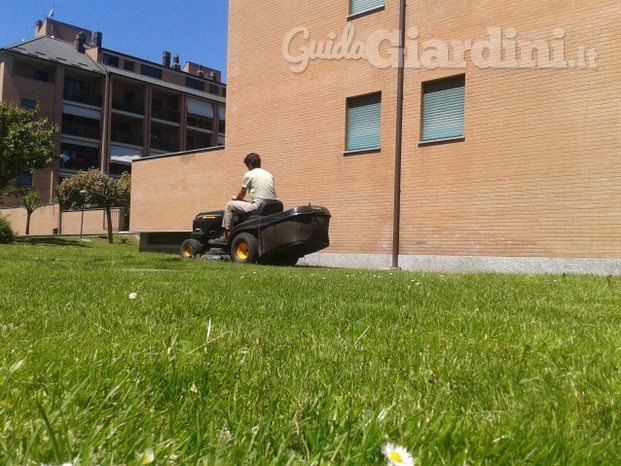 Manutenzione giardino condominiale