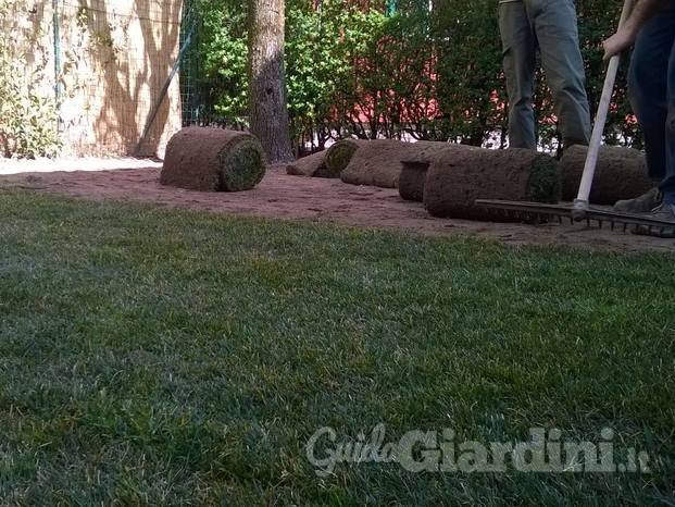 Realizzazione giardino: posa prato a rotoli