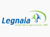 Cooperativa Agricola Di Legnaia