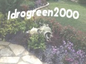 Logo Ideal Verde 2000