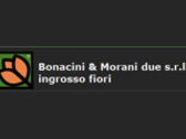 Bonacini Morani