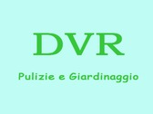 DVR