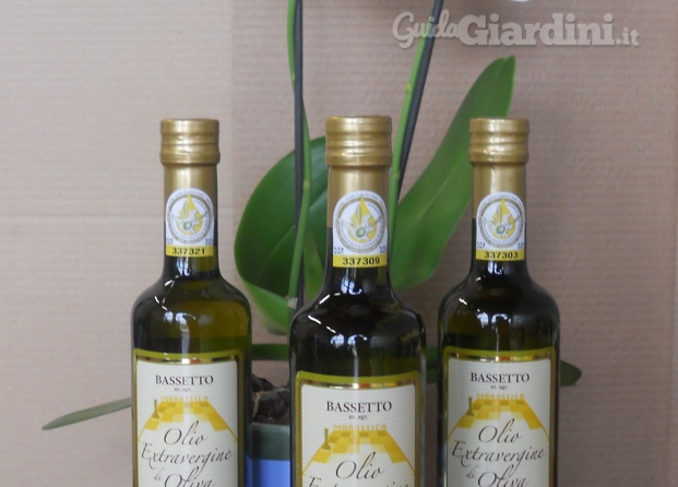 Olio Extravergine d'Oliva