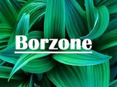 Borzone