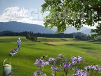 Il Giardiniere Di Ercoli P. A. Gianfrancoatering Le Signorine