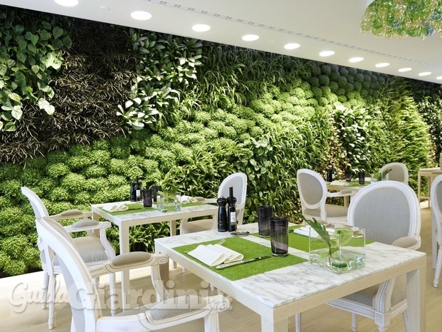 Green-D giardini verticali e servizi per il verde 