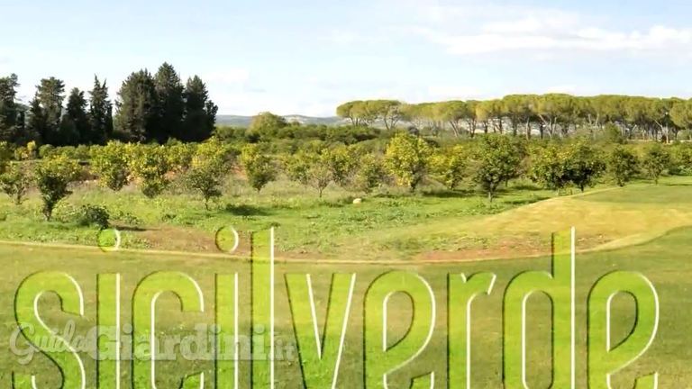 Sicilverde realizza i vostri campi da golf