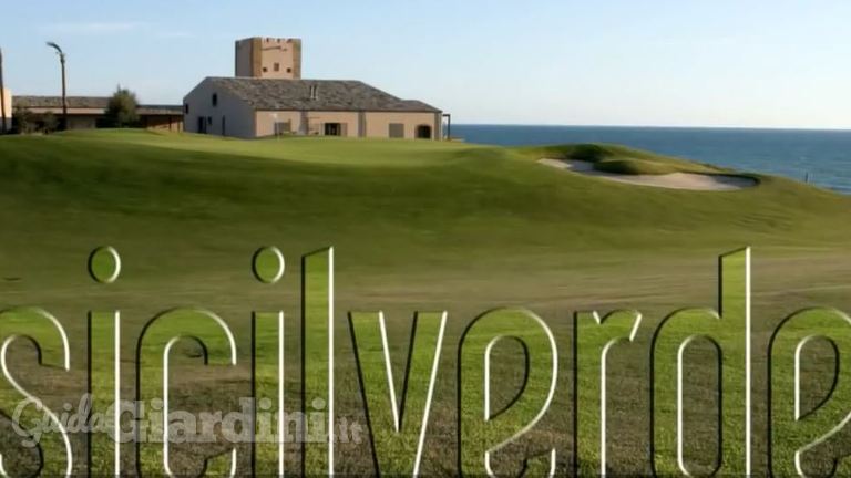 Irrigazione dei campi da golf