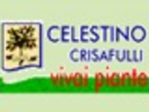 CRISAFULLI CELESTINO