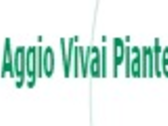 Aggio Vivai Piante