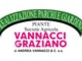 VANNACCI GRAZIANO