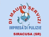 Dimauroservizi