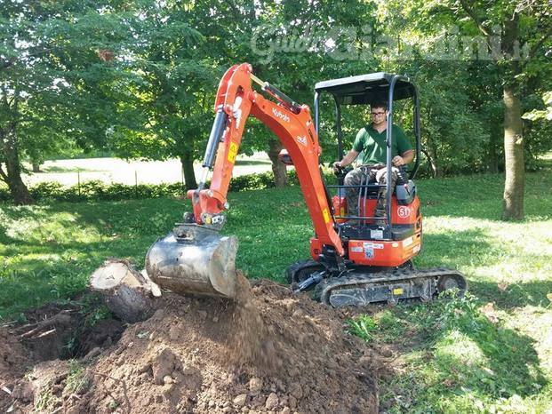 Sradicamento di un albero