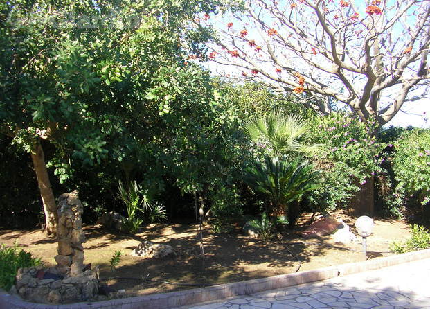 craezioni giardino