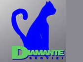 Logo Diamante Servizi