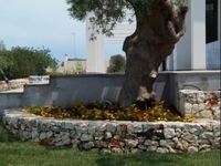 Il Verde del Salento