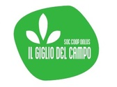 Coop il giglio del campo