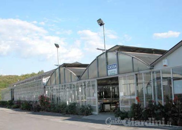 Azienda