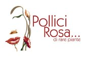 Logo Vivaio Pollici Rosa di rare piante