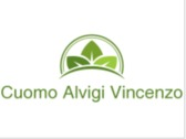 Cuomo Alvigi Vincenzo