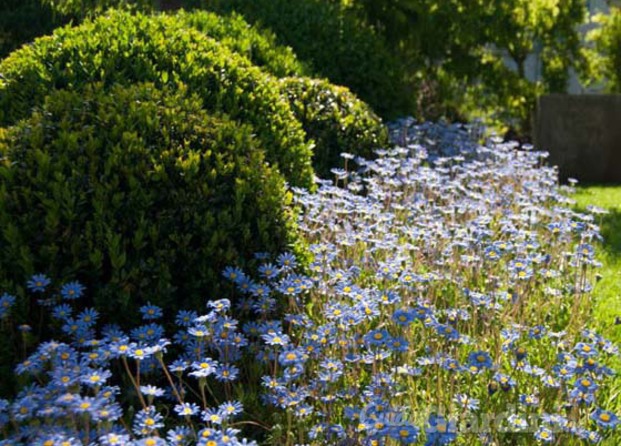 Giardini & Terrazzi 2012