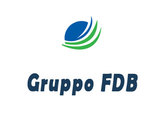 Gruppo FDB